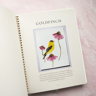 Birds Watercolor Workbook – Pre-Outlined Pages on 100% Cotton Paper