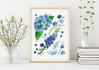 Blue Botanical Rainbow Art Print: Hydrangea Decor from Jean Choe Art & Design - Giclée