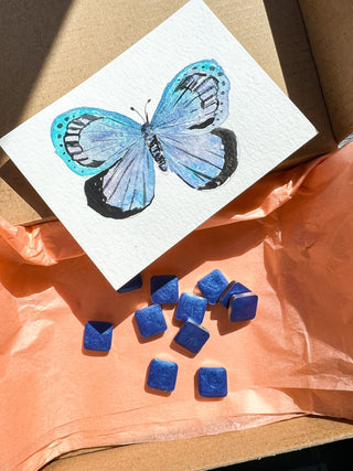 Butterfly Garden: Watercolor Workshop with Jean from Jean Choe Art & Design - 