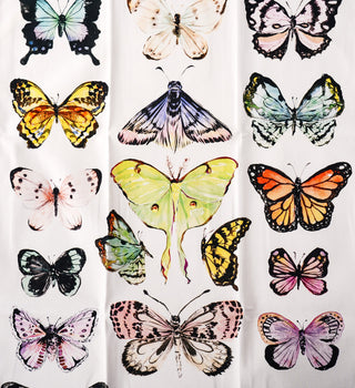 Butterfly Study Kitchen Gift Set: 1 Tea Towel & 1 Swedish Dishcloth from Jean Choe Art & Design - Kitchen & Tea Towels