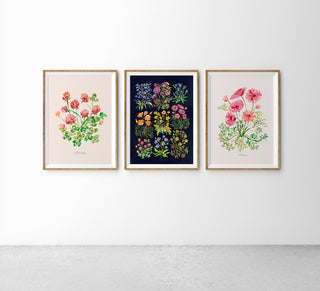 Cosmos Watercolor Art Print: Wildflower Botanical Wall Decor from Jean Choe Art & Design - Giclée