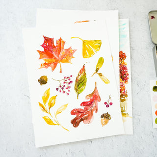Fall Harvest Watercolor Pages with Pre-Outlined Sheets for Relaxing Watercolor Practice Printed on Coldpress watercolor paper
