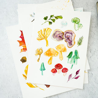 Fall Harvest Watercolor Pages with Pre-Outlined Sheets for Relaxing Watercolor Practice Printed on Coldpress watercolor paper