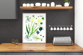Green Botanical Rainbow Art Print: Flower Wall Art from Jean Choe Art & Design - Giclée