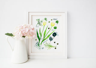 Green Botanical Rainbow Art Print: Flower Wall Art from Jean Choe Art & Design - Giclée