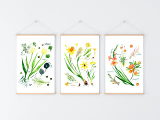 Green Botanical Rainbow Art Print: Flower Wall Art from Jean Choe Art & Design - Giclée