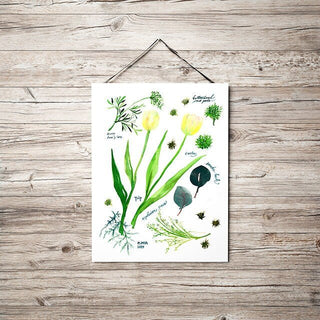 Green Botanical Rainbow Art Print: Flower Wall Art from Jean Choe Art & Design - Giclée