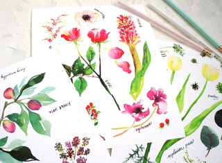 Green Botanical Rainbow Art Print: Flower Wall Art from Jean Choe Art & Design - Giclée