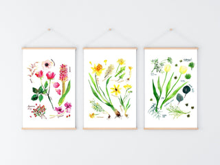 Green Botanical Rainbow Art Print: Flower Wall Art from Jean Choe Art & Design - Giclée