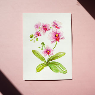 Individual Floral Watercolor Pages: Pre - Outlined & Perfect for Beginner and Art Gifts from Jean Choe Art & Design - Coloring Books