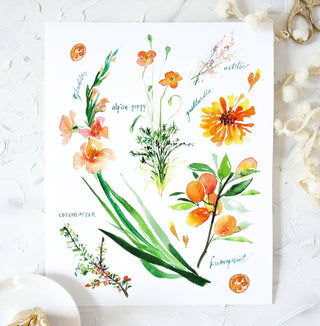 Orange Botanical Rainbow Art Print: Flower Watercolor from Jean Choe Art & Design - Giclée