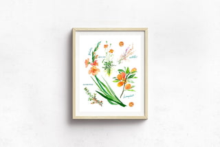 Orange Botanical Rainbow Art Print: Flower Watercolor from Jean Choe Art & Design - Giclée