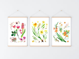 Orange Botanical Rainbow Art Print: Flower Watercolor from Jean Choe Art & Design - Giclée