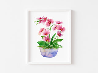 Pink Orchid Art Print: Watercolor Botanical Decor from Jean Choe Art & Design - Giclée