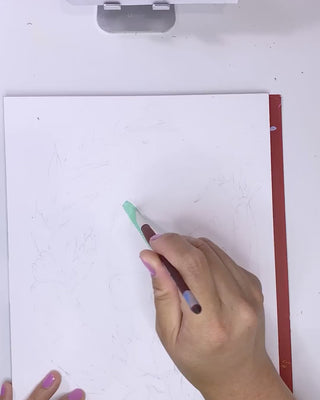 Video showing Jean Choe's giclee fine art print of tropical butterfly and botanicals
