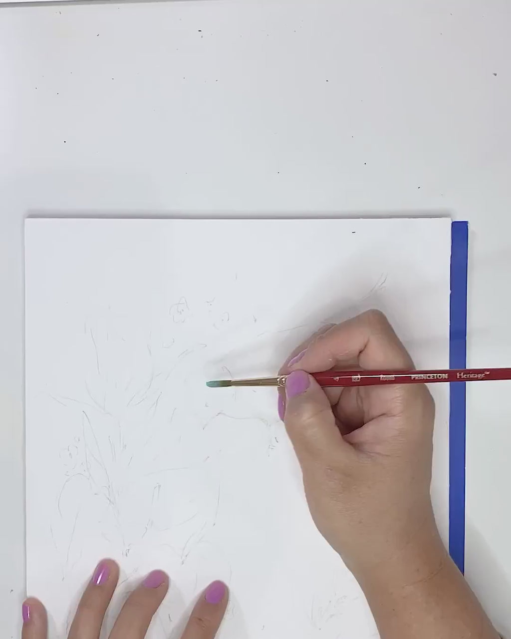 Video showing Jean Choe's giclee fine art print of tropical anthurium and bird