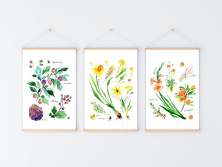 Purple Botanical Rainbow Art Print: Floral Wall Art from Jean Choe Art & Design - Giclée