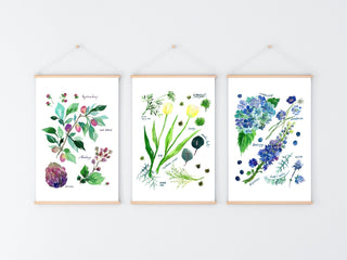 Purple Botanical Rainbow Art Print: Floral Wall Art from Jean Choe Art & Design - Giclée