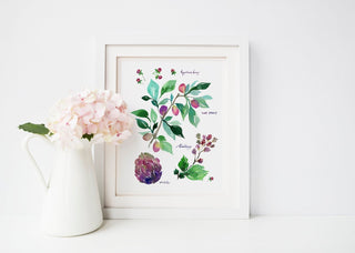 Purple Botanical Rainbow Art Print: Floral Wall Art from Jean Choe Art & Design - Giclée