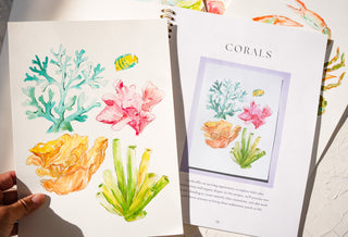 Seashores Watercoloring Book – Relaxing Ocean Art to Paint from Jean Choe Art & Design - Coloring Books