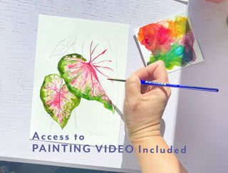 Watercolor Fun Kit: Houseplants – DIY Art Set with Pre - Outlined Pages from Jean Choe Art & Design - Kits
