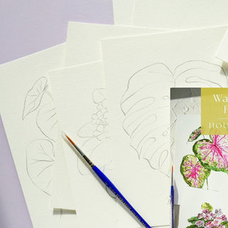 Watercolor Fun Kit: Houseplants – DIY Art Set with Pre - Outlined Pages from Jean Choe Art & Design - Kits