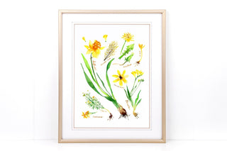 Yellow Botanical Rainbow Art Print: Botanical Decor from Jean Choe Art & Design - Giclée